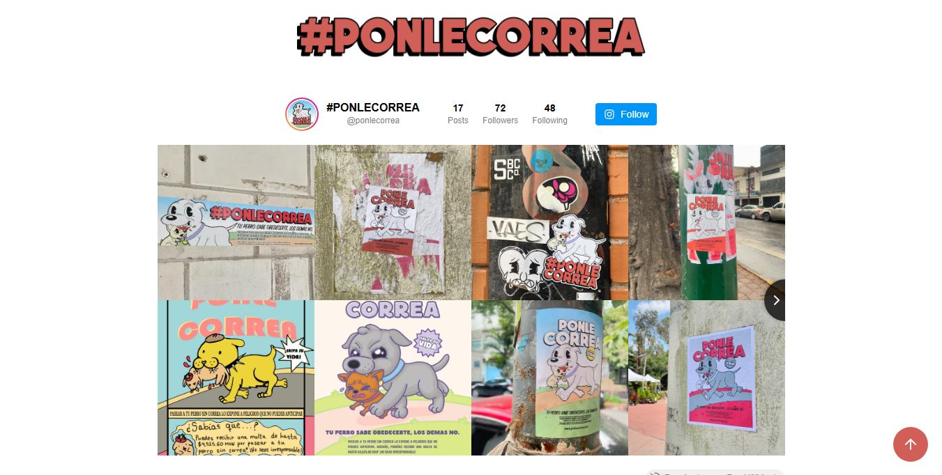 Integración de redes sociales embebidas dentro de la página web